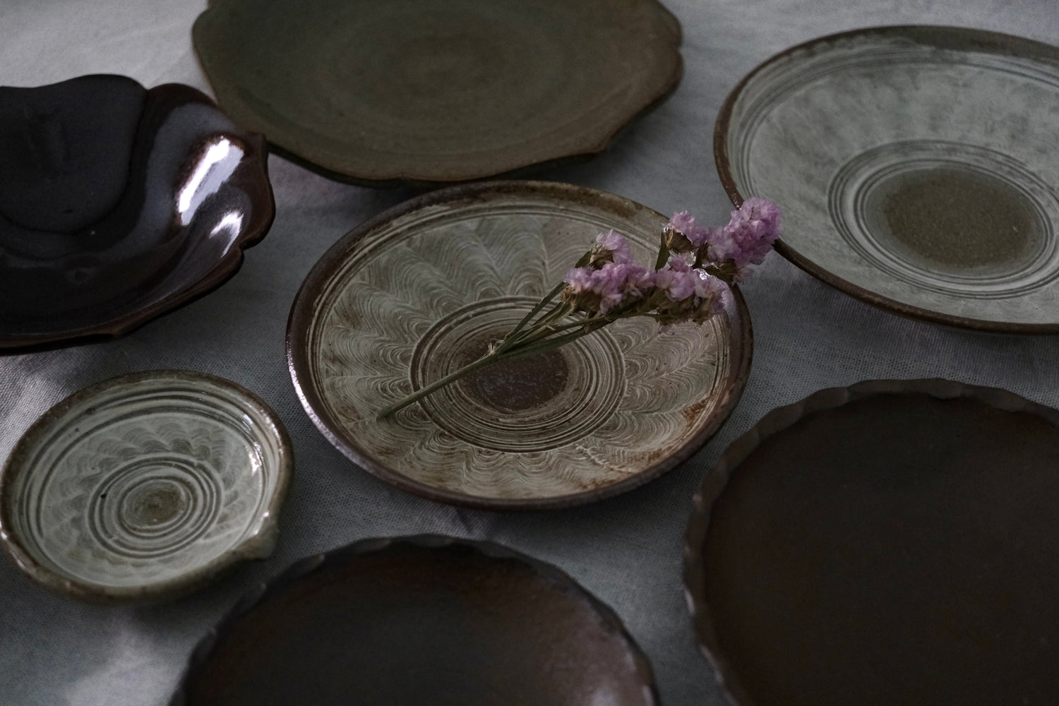 尾浪 晶世|Onami Akiyo