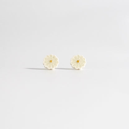 木春菊